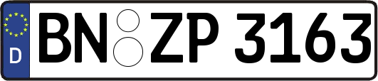 BN-ZP3163