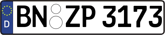 BN-ZP3173