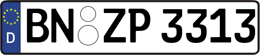 BN-ZP3313