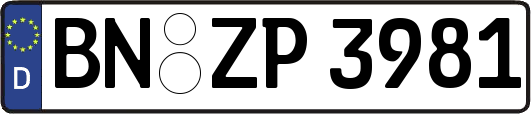 BN-ZP3981