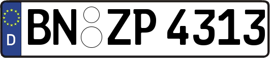 BN-ZP4313