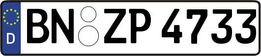 BN-ZP4733