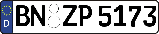 BN-ZP5173