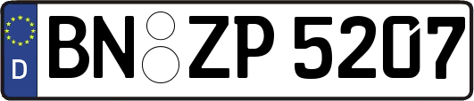 BN-ZP5207