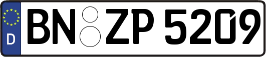 BN-ZP5209