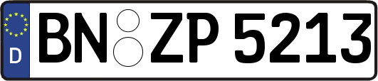 BN-ZP5213