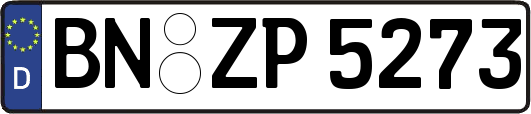 BN-ZP5273