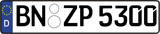 BN-ZP5300
