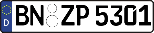 BN-ZP5301
