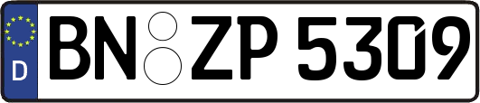 BN-ZP5309