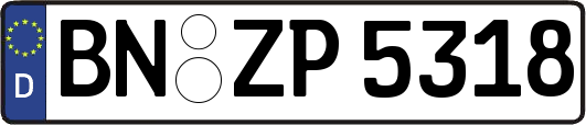 BN-ZP5318