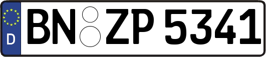 BN-ZP5341