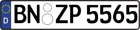 BN-ZP5565