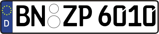 BN-ZP6010