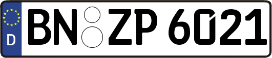 BN-ZP6021