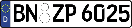 BN-ZP6025