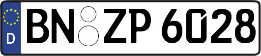 BN-ZP6028
