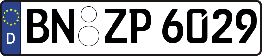 BN-ZP6029
