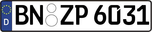 BN-ZP6031