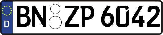 BN-ZP6042