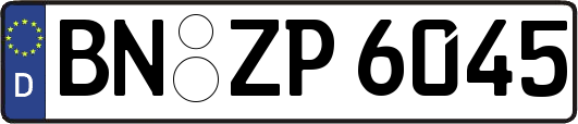 BN-ZP6045