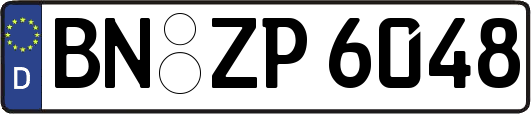 BN-ZP6048
