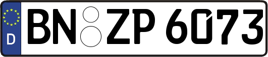 BN-ZP6073