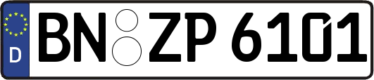 BN-ZP6101