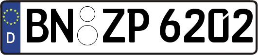 BN-ZP6202