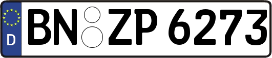 BN-ZP6273