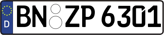 BN-ZP6301