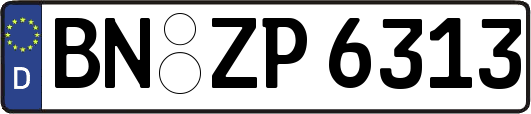 BN-ZP6313