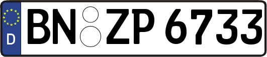 BN-ZP6733
