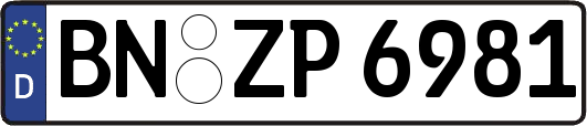 BN-ZP6981