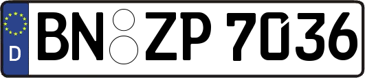 BN-ZP7036