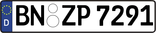 BN-ZP7291