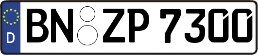 BN-ZP7300