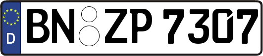 BN-ZP7307