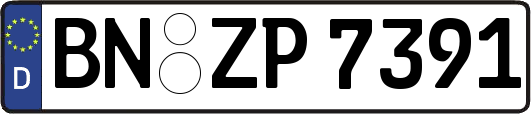 BN-ZP7391
