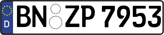 BN-ZP7953