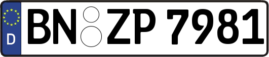 BN-ZP7981