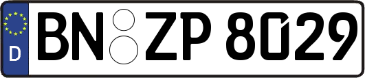BN-ZP8029