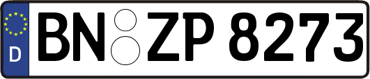 BN-ZP8273