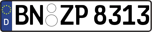 BN-ZP8313