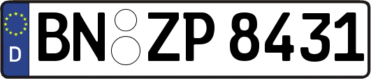 BN-ZP8431