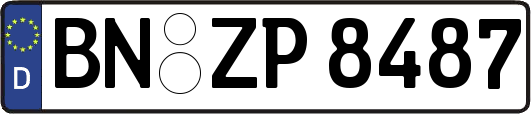 BN-ZP8487