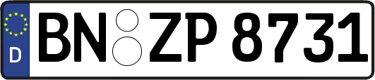 BN-ZP8731