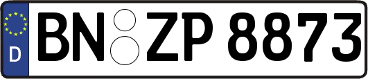 BN-ZP8873