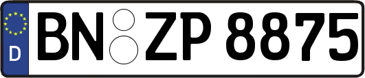 BN-ZP8875