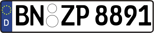 BN-ZP8891
